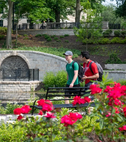 Campus and its summer with followers